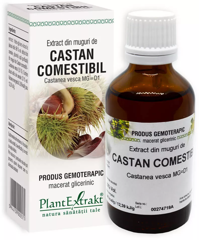 Castan comestibil-plant extract