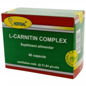 L-CARNITIN X 40 CPS   HOFIGAL